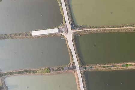 养殖基地