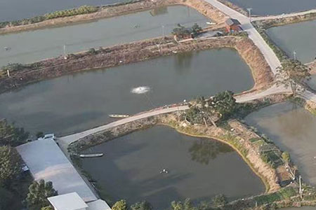 养殖基地