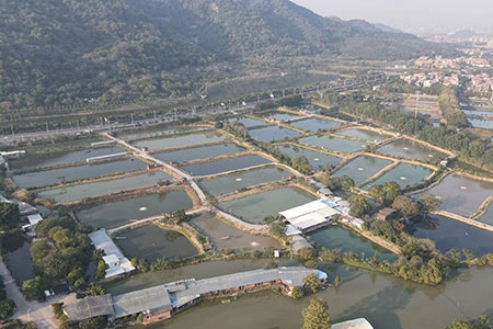 养殖基地