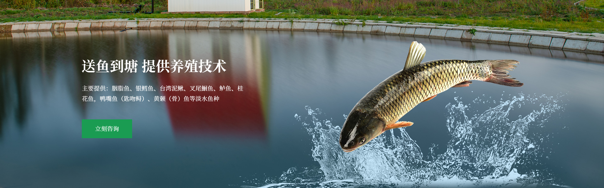 湖北锦渔龙渔业有限公司