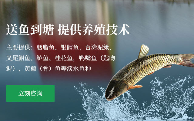 湖北锦渔龙渔业有限公司