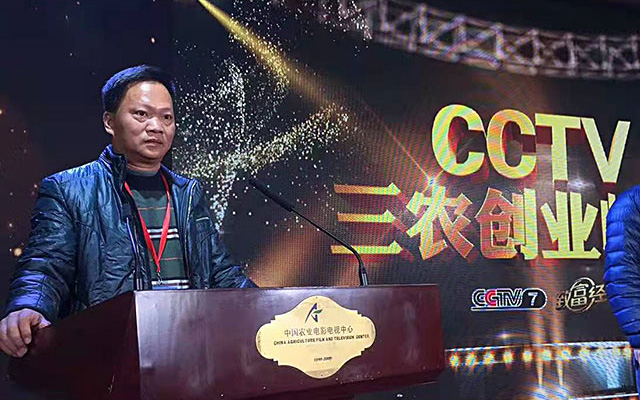 锦渔龙
