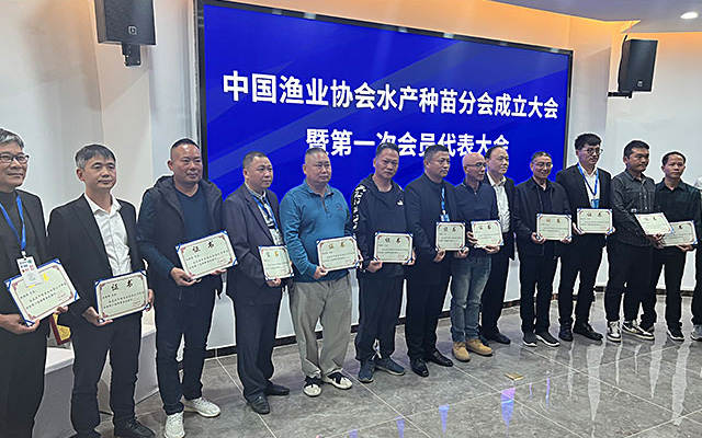 锦渔龙